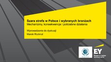 Szara strefa w Polsce i w wybranych branżach - okładka.jpg