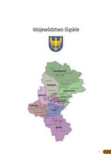 Raport_śląskie_2015.pdf