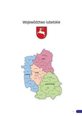 Raport_lubelskie_2015.pdf