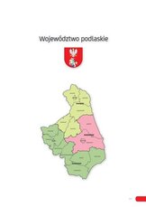 Raport_Białystok_2015.pdf