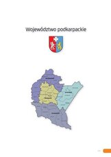 Raport_Rzeszow_2015.pdf