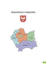 Raport_Małopolskie_2015.pdf