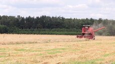 Adam Stępień_Dyrektywa ILUC a polska branża biopaliw.mov