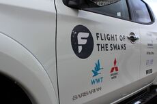 Flight of the Swans 9.jpg