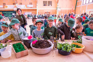 Piknik bioróżnorodności w Suszu 36