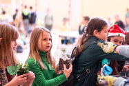 Piknik bioróżnorodności w Suszu 12