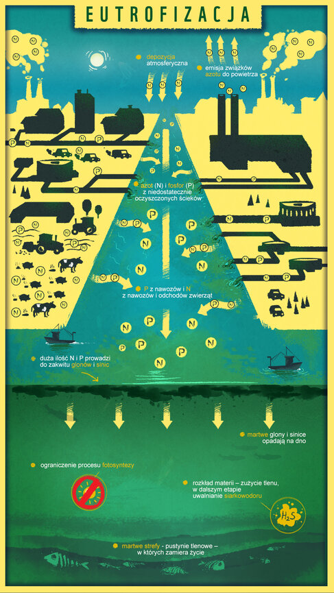 WWF-infografika PL.jpg