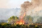 2407 Pożary-wysypisk-lasów-wypalanie-traw-–-jak-ochronić-zabudowania-przed-trawiącym-żywiołem
