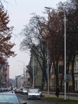 Oświetlenie LED