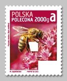 Wąż, pająk i papuga, czyli co robią zwierzęta na poczcie?