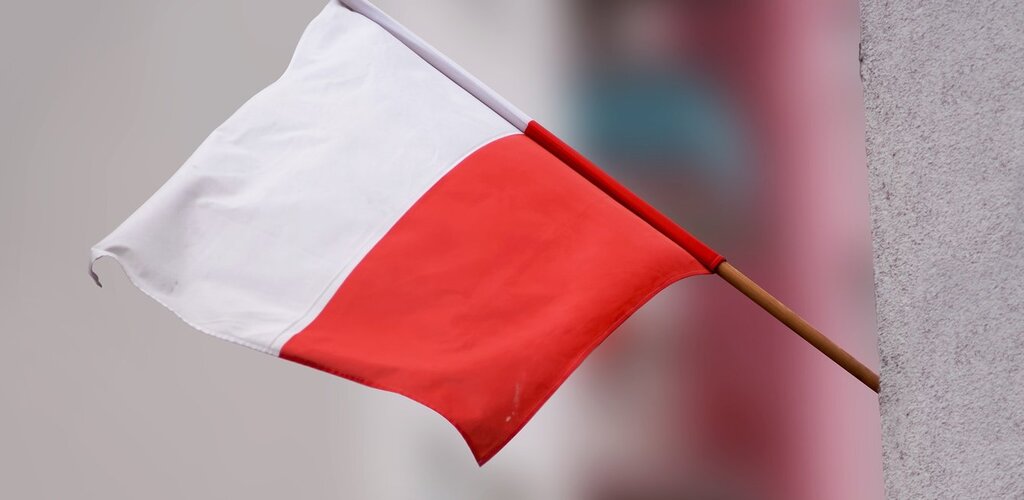 "...iż Polacy nie gęsi, iż swój język mają”