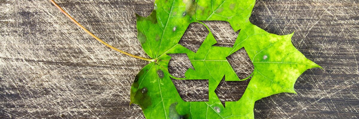 Korzystając z dzierżawionego sprzętu budujemy "circular economy"