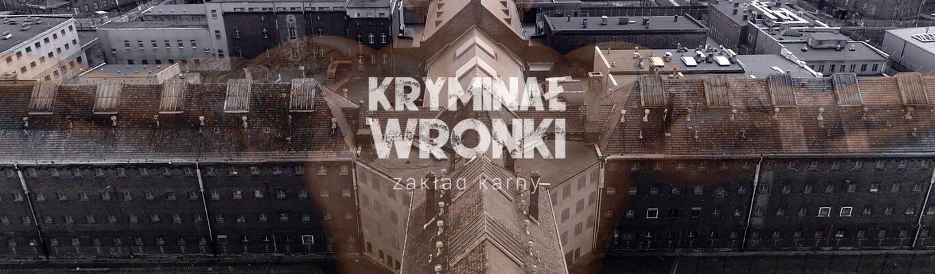 „Kryminał Wronki” w Telewizji WP