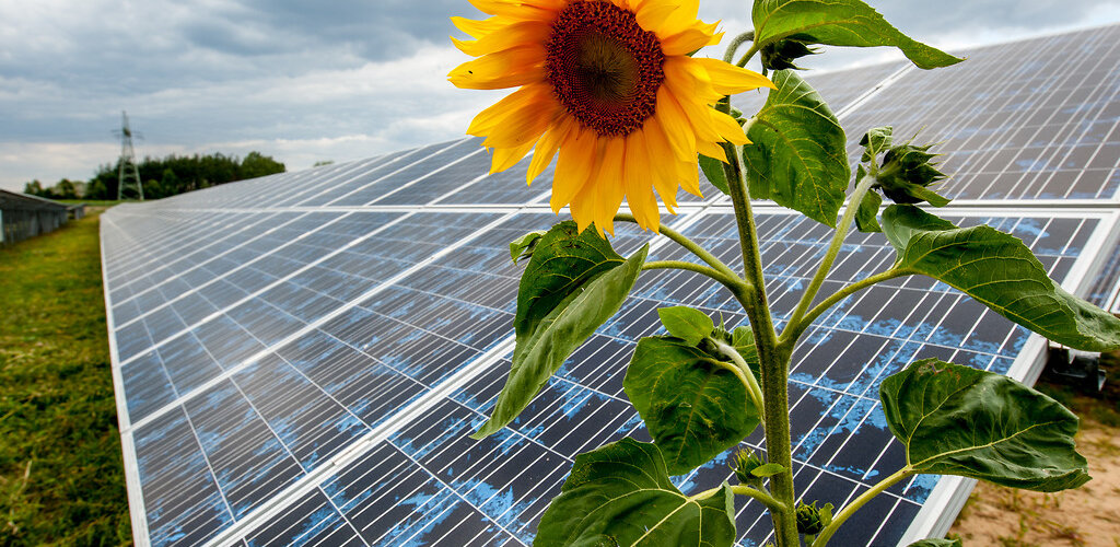 Energa zbuduje kolejną farmę fotowoltaiczną
