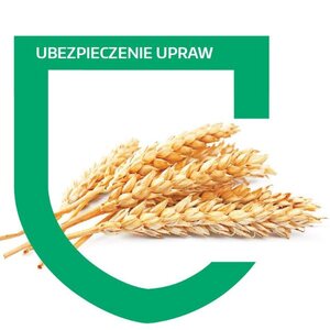 UBEZPIECZENIA SUSZY W CONCORDII