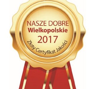 CONCORDIA WSPIERA NASZE DOBRE WIELKOPOLSKIE