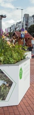 Zielony Budżet Obywatelski – jest projekt uchwały