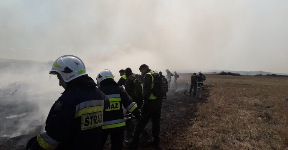 Żołnierze WOT pomagają gasić pożary w Biebrzańskim Parku Narodowym - film z drona