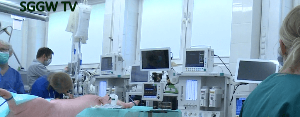 SGGW i PAN testują respirator z urządzeniem do jednoczesnej wentylacji dwóch pacjentów