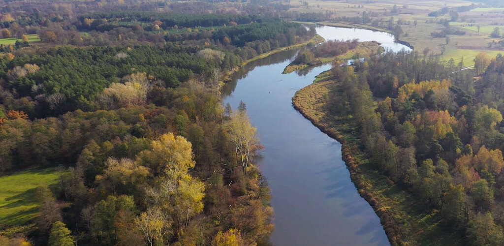 Energa dba o środowisko wodne polskiej „Amazonki”