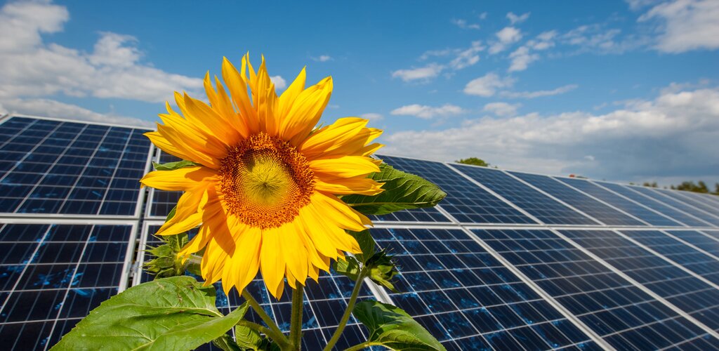 Energa z najwyższym wynikiem ratingu ESG w historii pomiarów spółki