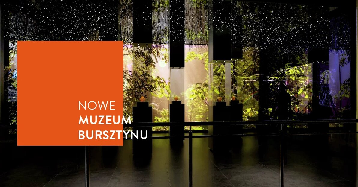 Nowe Muzeum Bursztynu - grafika