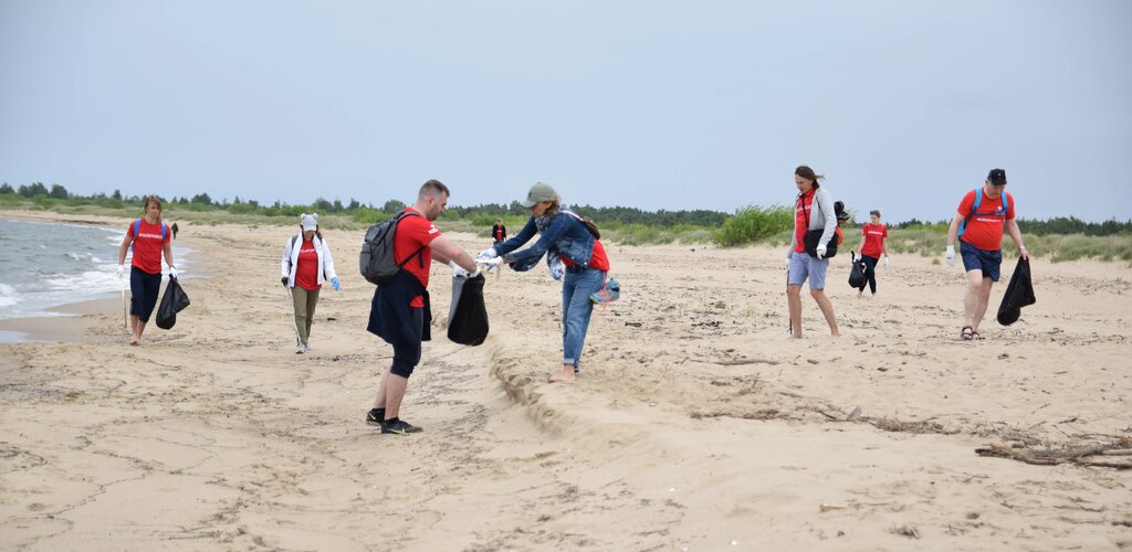 Wolontariusze Energi wysprzątali plażę w Sobieszewie