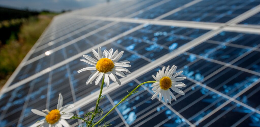 Energa Operator przyłącza kolejne słoneczne źródła energii