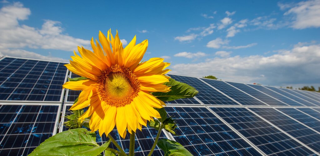 Inwertery oferowane przez Energę Obrót na liście certyfikowanych urządzeń PTPiREE