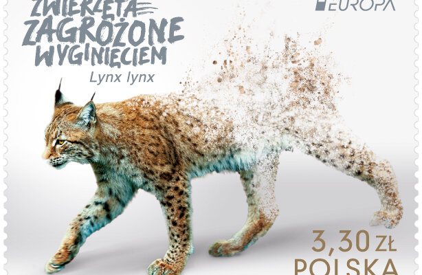 Polski znaczek z rysiem doceniony w kolejnym prestiżowym międzynarodowym konkursie