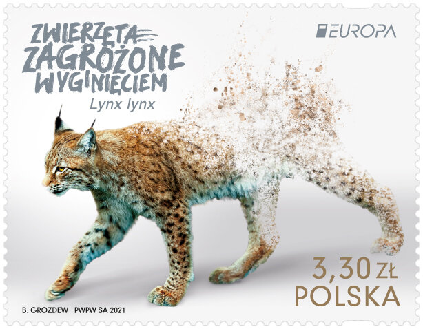 Polski znaczek z rysiem doceniony w kolejnym prestiżowym międzynarodowym konkursie